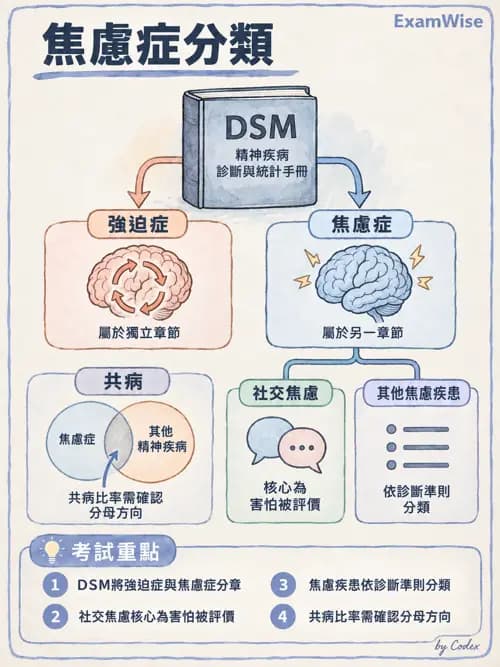職治 - 發展與精神行為診斷 - AI 圖文解析預覽