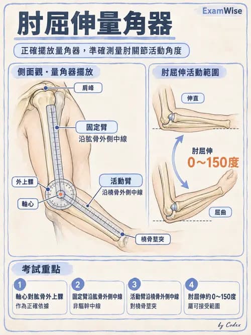 職治 - 評估方法與測量 - AI 圖文解析預覽