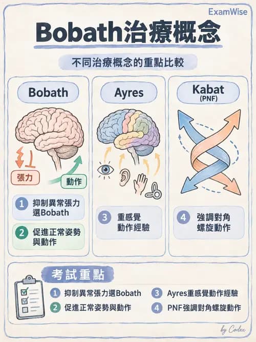 職治 - 神經動作與認知治療技術 - AI 圖文解析預覽
