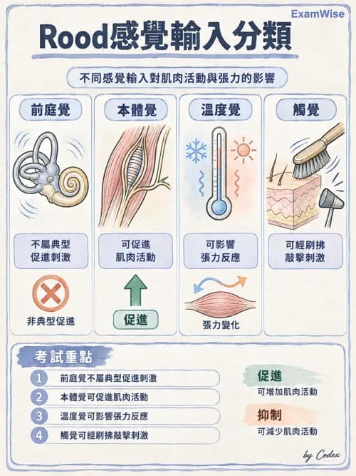 職治 - 神經動作與認知治療技術 - AI 圖文解析預覽