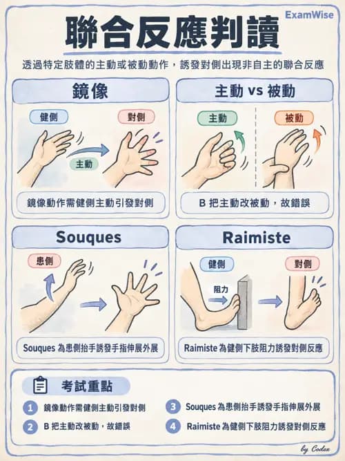 職治 - 神經動作與認知治療技術 - AI 圖文解析預覽