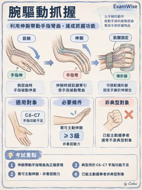 職治 - 輔具、副木與能量節省 - AI 圖文解析預覽