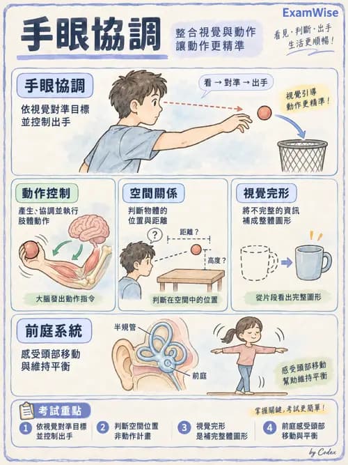 職治 - 活動分析 - AI 圖文解析預覽