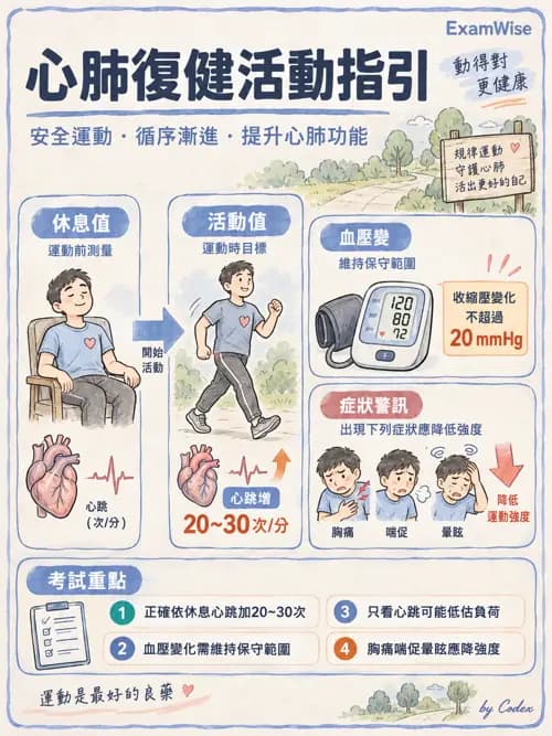 職治 - 輔具、副木與能量節省 - AI 圖文解析預覽
