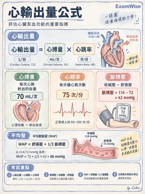 職治 - 心血管、血液與免疫生理 - AI 圖文解析預覽