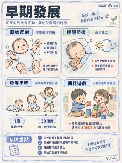 職治 - 參考架構與應用理論 - AI 圖文解析預覽
