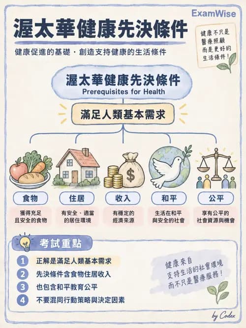 職治 - 服務場域與健康促進 - AI 圖文解析預覽