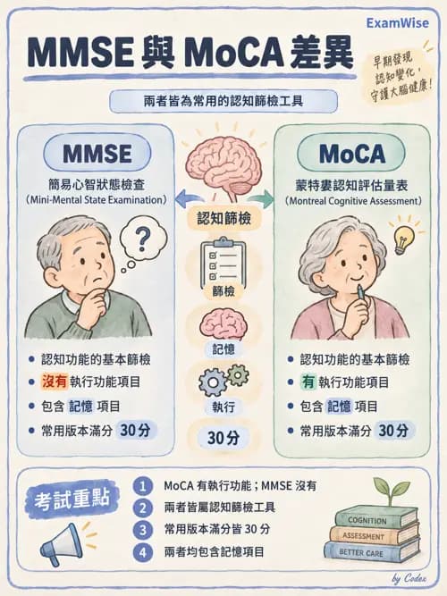 職治 - 評估與測量 - AI 圖文解析預覽