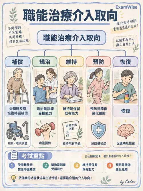 職治 - 實務架構與介入歷程 - AI 圖文解析預覽