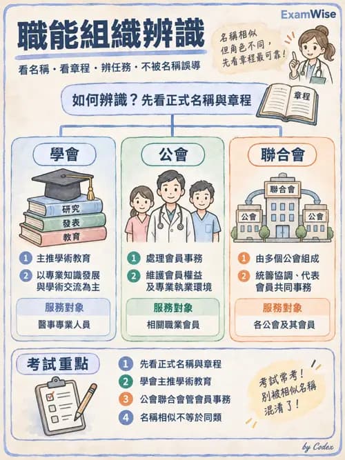 職治 - 歷史與專業發展 - AI 圖文解析預覽