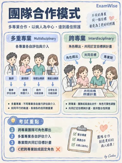 職治 - 服務場域與健康促進 - AI 圖文解析預覽