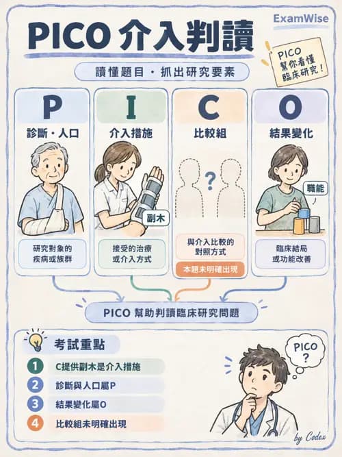 職治 - 實證職能治療 - AI 圖文解析預覽
