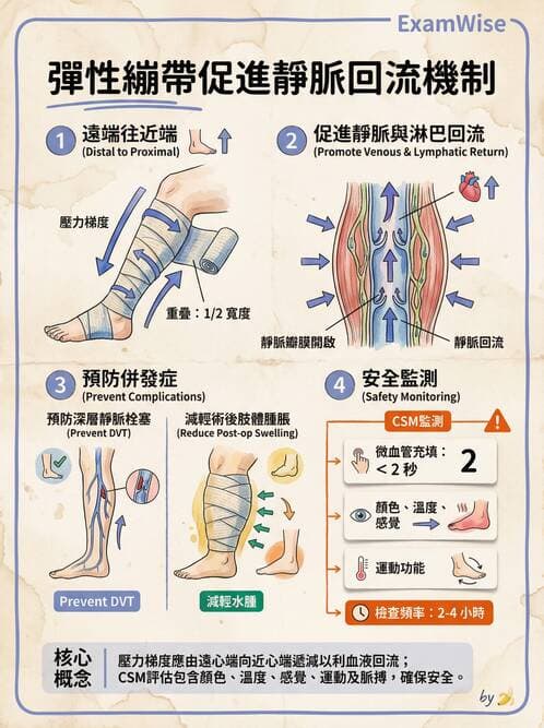 護理師 - 運動功能與傷口護理 - AI 圖文解析預覽