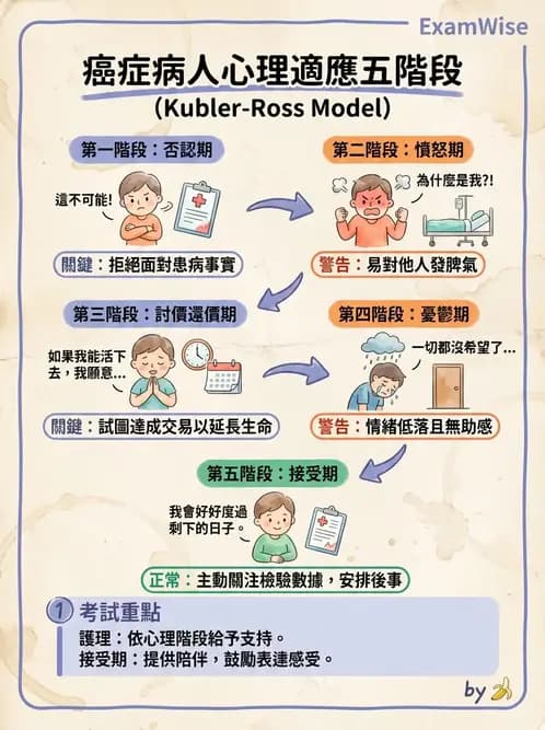 護理師 - 護理理論與專業倫理 - AI 圖文解析預覽