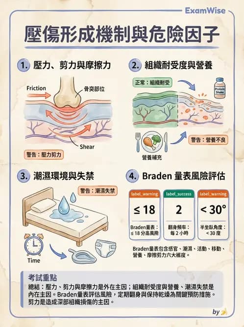 護理師 - 運動功能與傷口護理 - AI 圖文解析預覽