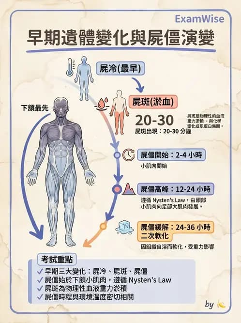 護理師 - 臨終與哀傷護理 - AI 圖文解析預覽