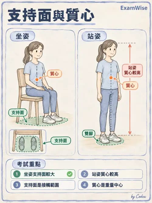 職治 - 動作功能與生物力學 - AI 圖文解析預覽
