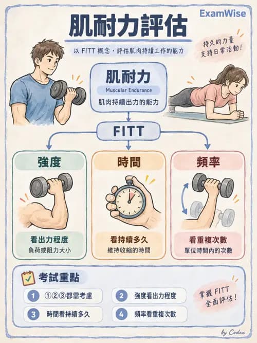 職治 - 動作功能與生物力學 - AI 圖文解析預覽