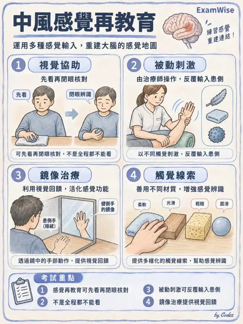 職治 - 感覺、視覺與知覺 - AI 圖文解析預覽