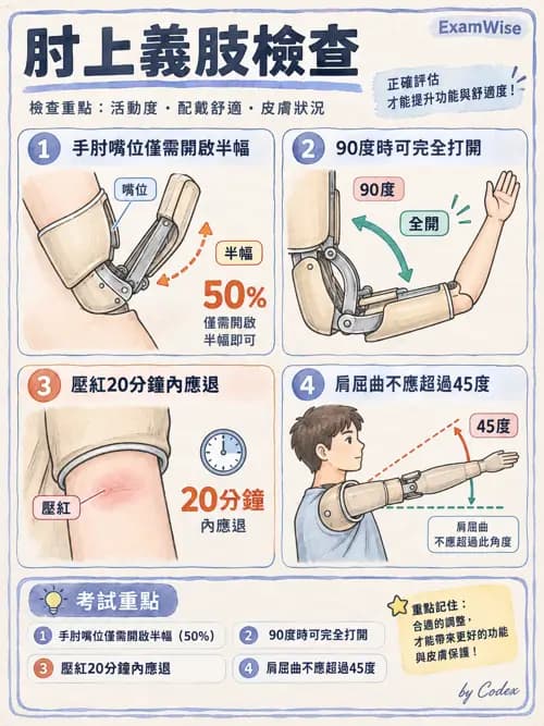 職治 - 義肢與截肢 - AI 圖文解析預覽