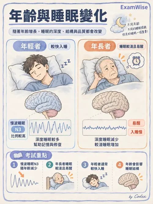職治 - 日常生活活動、進食與吞嚥 - AI 圖文解析預覽