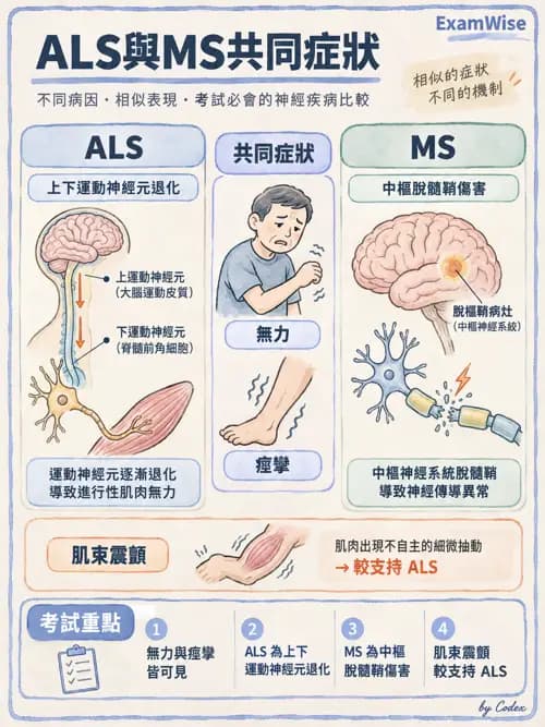 職治 - 神經退化與神經肌肉疾病 - AI 圖文解析預覽