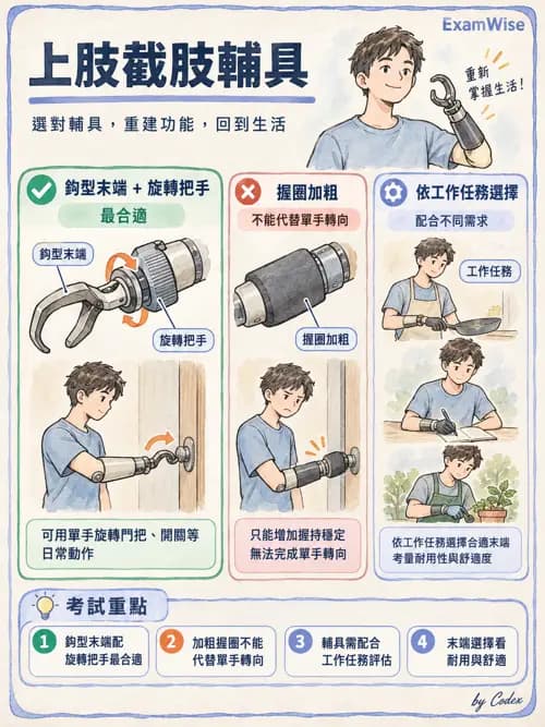 職治 - 義肢與截肢 - AI 圖文解析預覽