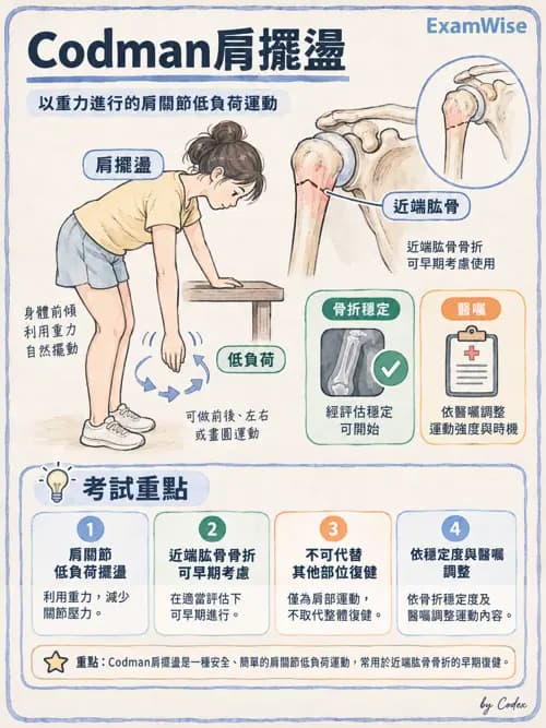 職治 - 骨科與風濕疾病 - AI 圖文解析預覽