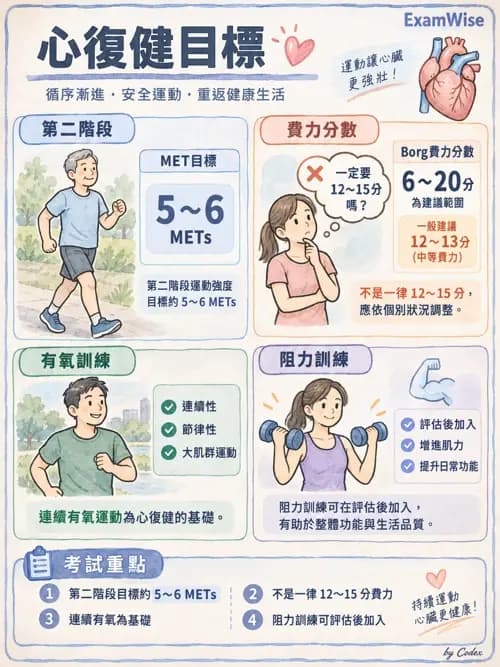 職治 - 心肺疾病、燒燙傷與癌症 - AI 圖文解析預覽
