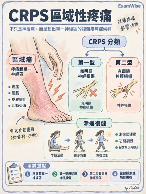 職治 - 手部與周邊神經損傷 - AI 圖文解析預覽