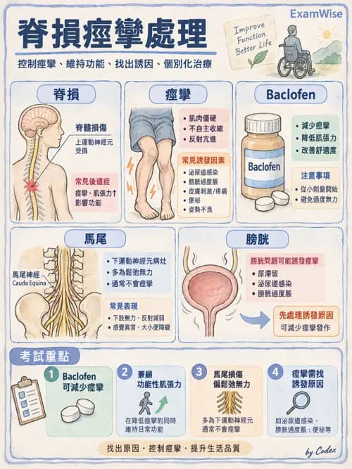 職治 - 脊髓損傷 - AI 圖文解析預覽