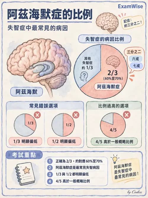 職治 - 老年心理衛生與失智 - AI 圖文解析預覽