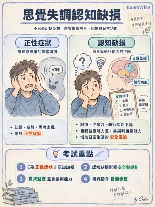 職治 - 認知取向與認知障礙模式 - AI 圖文解析預覽