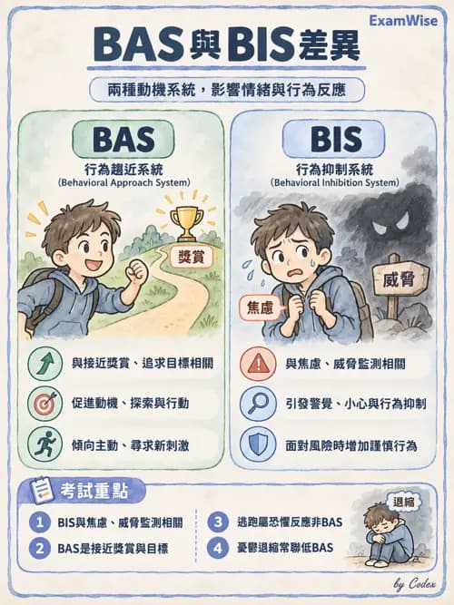 職治 - 壓力、情緒與感覺處理 - AI 圖文解析預覽