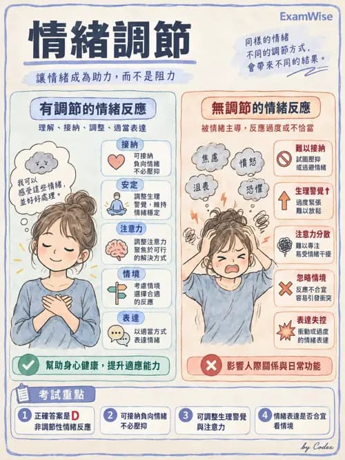職治 - 壓力、情緒與感覺處理 - AI 圖文解析預覽