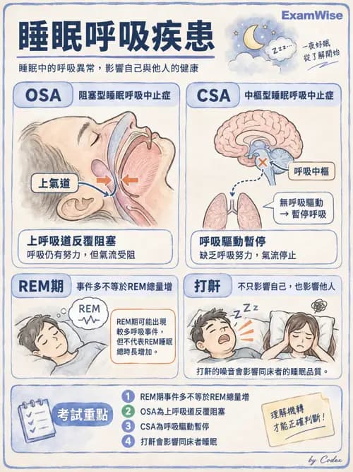 職治 - 休閒、體能活動與睡眠 - AI 圖文解析預覽