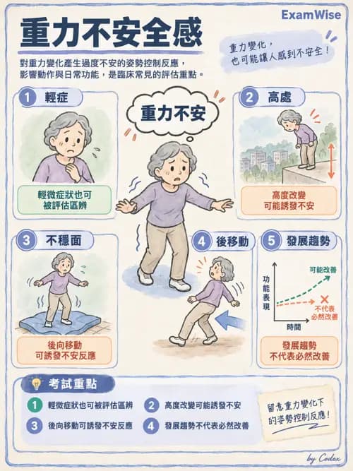 職治 - 感覺統合與感覺處理 - AI 圖文解析預覽