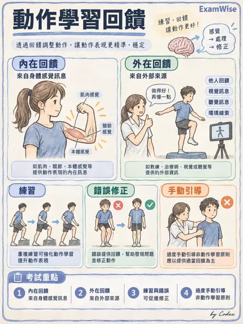 職治 - 動作相關參考架構 - AI 圖文解析預覽