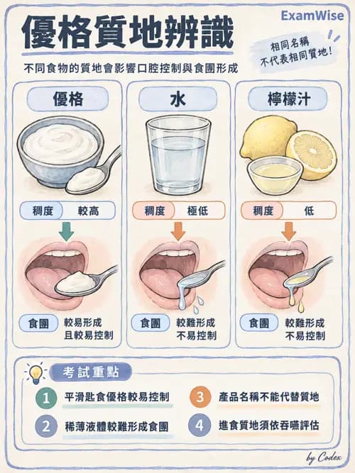 職治 - 進食、口腔動作與吞嚥 - AI 圖文解析預覽