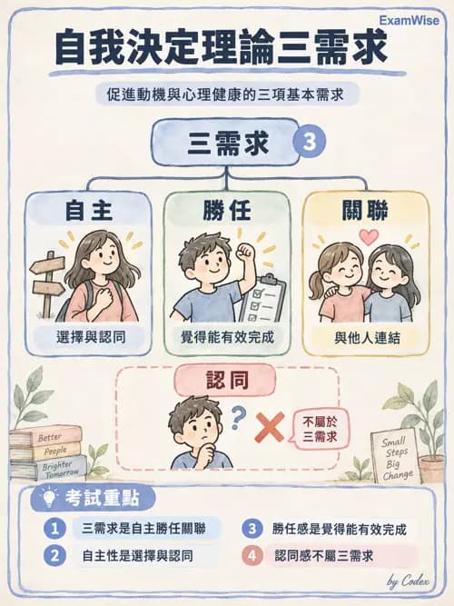 職治 - 社會參與與社交技巧 - AI 圖文解析預覽