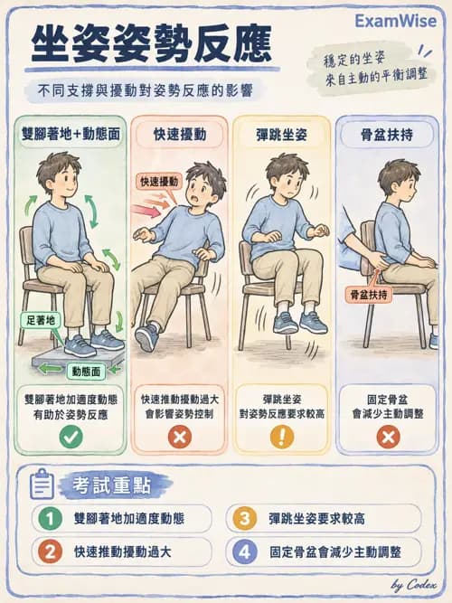 職治 - 動作發展與手功能 - AI 圖文解析預覽