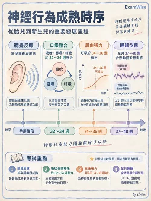 職治 - 醫療與早期療育體系 - AI 圖文解析預覽