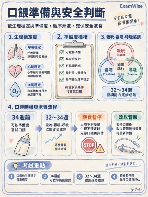 職治 - 進食、口腔動作與吞嚥 - AI 圖文解析預覽