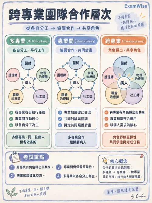 職治 - 醫療與早期療育體系 - AI 圖文解析預覽