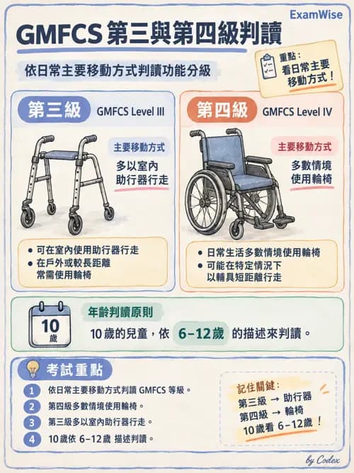 職治 - 神經動作與醫療相關診斷 - AI 圖文解析預覽