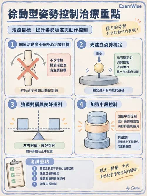 職治 - 神經動作與醫療相關診斷 - AI 圖文解析預覽