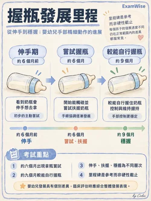 職治 - 進食、口腔動作與吞嚥 - AI 圖文解析預覽