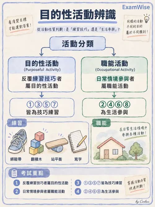 職治 - 活動分級與調適 - AI 圖文解析預覽