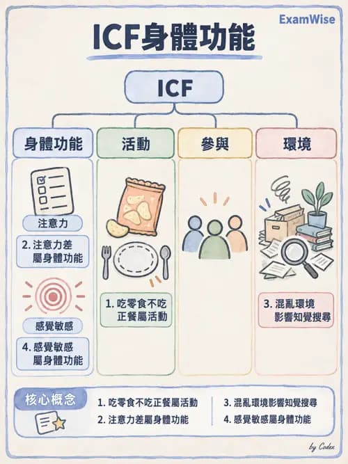 職治 - OTPF實務架構與ICF - AI 圖文解析預覽
