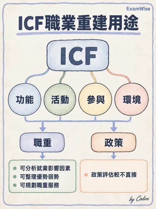 職治 - 職業評量與功能性能力評估 - AI 圖文解析預覽
